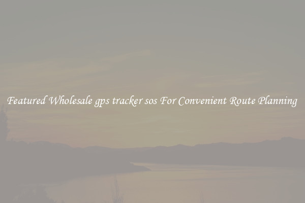 Featured Wholesale gps tracker sos For Convenient Route Planning 