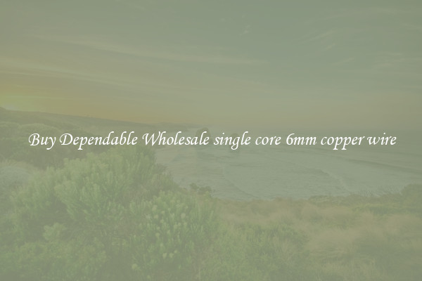 Buy Dependable Wholesale single core 6mm copper wire