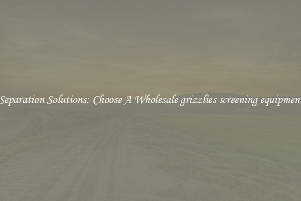 Separation Solutions: Choose A Wholesale grizzlies screening equipment