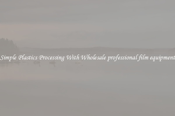 Simple Plastics Processing With Wholesale professional film equipment