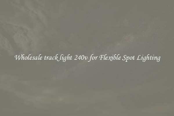 Wholesale track light 240v for Flexible Spot Lighting