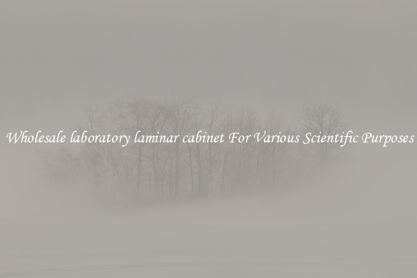 Wholesale laboratory laminar cabinet For Various Scientific Purposes