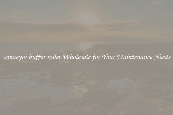conveyor buffer roller Wholesale for Your Maintenance Needs