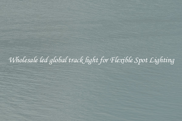 Wholesale led global track light for Flexible Spot Lighting