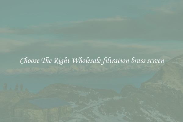 Choose The Right Wholesale filtration brass screen