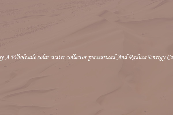 Buy A Wholesale solar water collector pressurized And Reduce Energy Costs
