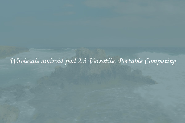 Wholesale android pad 2.3 Versatile, Portable Computing