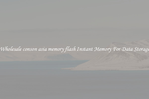 Wholesale conson asia memory flash Instant Memory For Data Storage