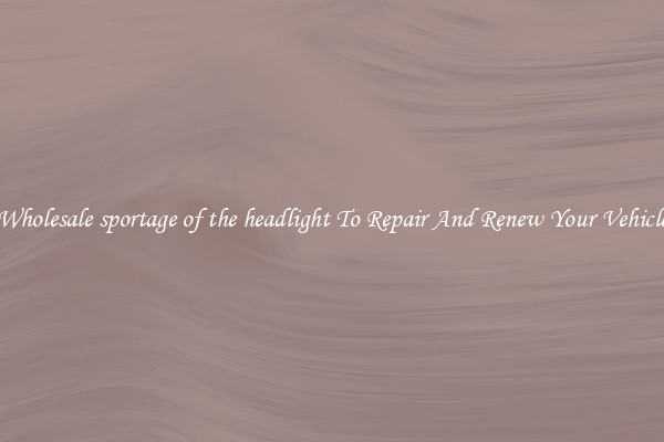Wholesale sportage of the headlight To Repair And Renew Your Vehicle