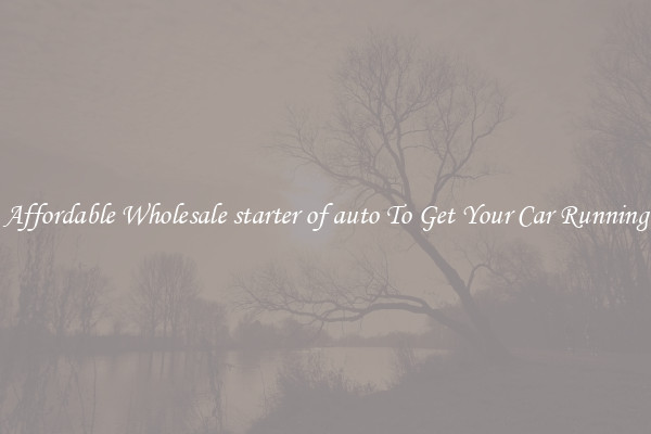 Affordable Wholesale starter of auto To Get Your Car Running