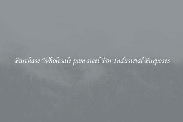 Purchase Wholesale pam steel For Industrial Purposes