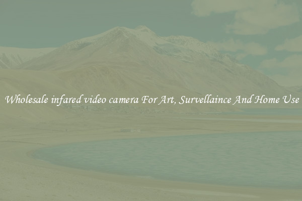 Wholesale infared video camera For Art, Survellaince And Home Use