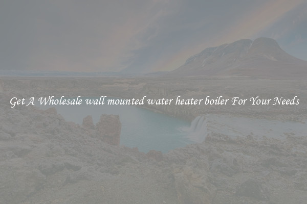 Get A Wholesale wall mounted water heater boiler For Your Needs