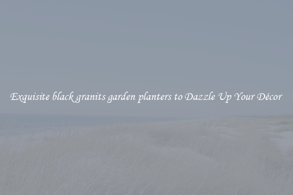 Exquisite black granits garden planters to Dazzle Up Your Décor 