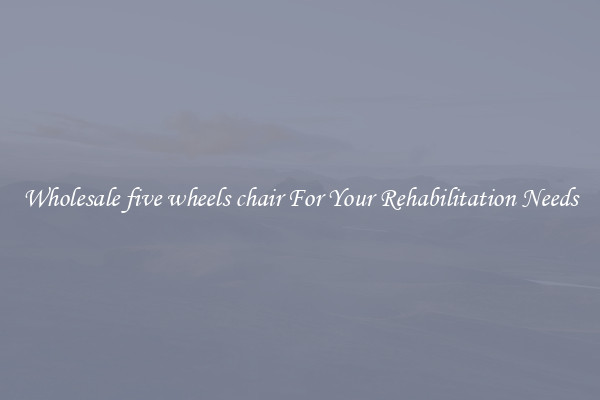 Wholesale five wheels chair For Your Rehabilitation Needs